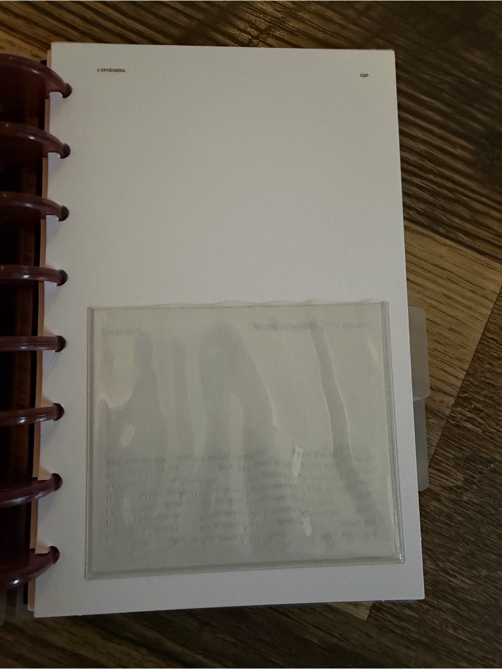 Cloth & Paper Disc Planner Project Habit Tracker Burgundy Minimalist - Picture 3 of 16
